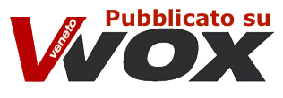 Logo Vvox copia 2